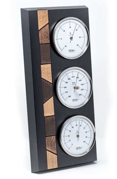 9171 | Weather station