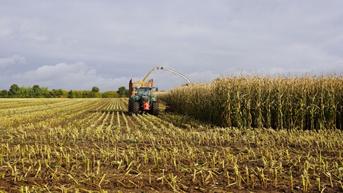 Traktor auf Feld